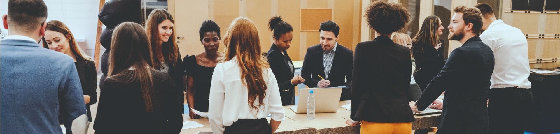 Anonymiseret chilensk bank – international Belbin-case